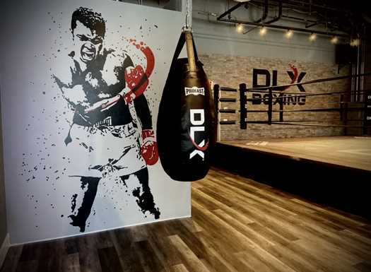 DLX Boxing