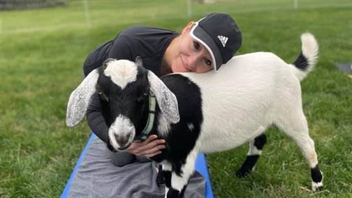 Goat Yoga Chicago - Elgin, Illinois