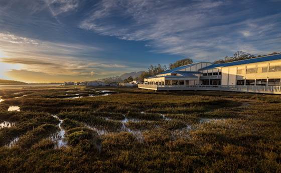 single listing image