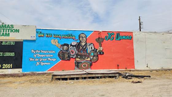 single listing image