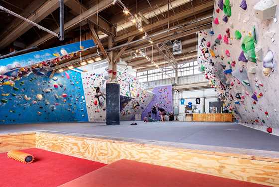 Minnesota Climbing Cooperative