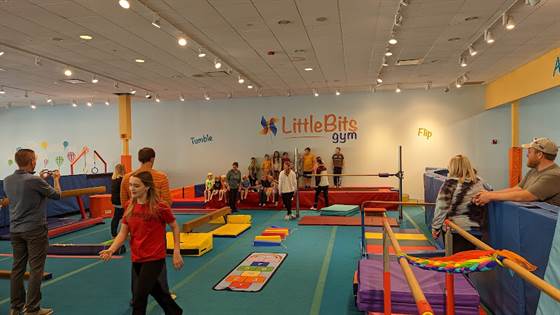 LittleBits Gym