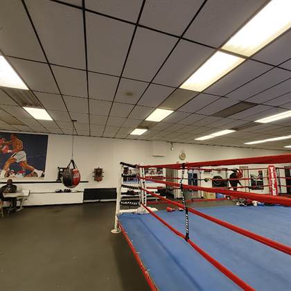 Albany Boxing