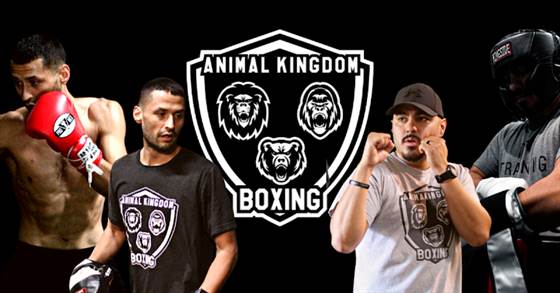 Animal Kingdom Boxing