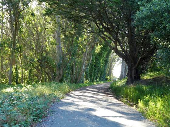 Old Guadalupe Ridge Trail