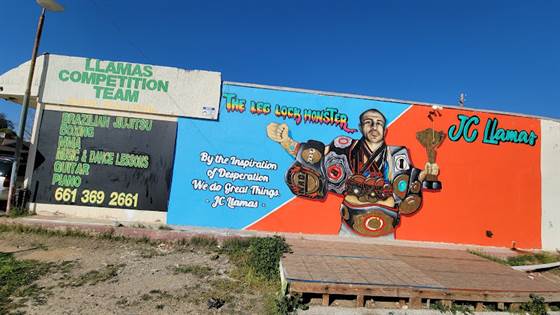 single listing image