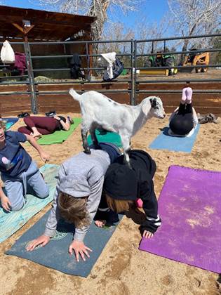 single listing image