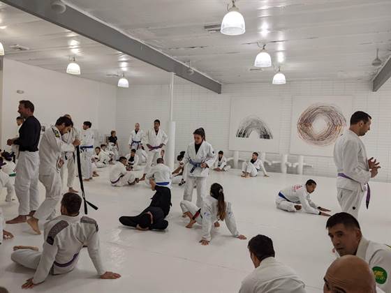 Art of Jiu Jitsu Academy