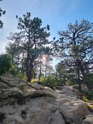 Ute Valley Trail Head