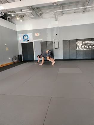 Carlson Gracie South Lakeland