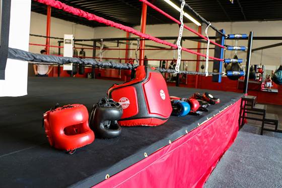 Knockouts Boxing