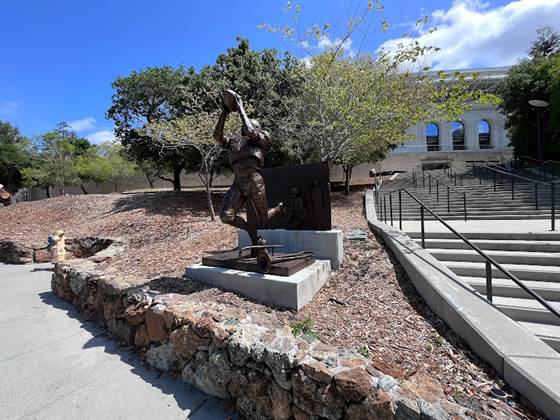 Stadium Fitness Center