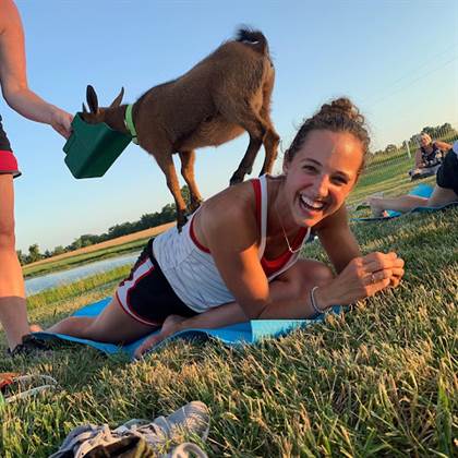 Goat Yoga of Missouri