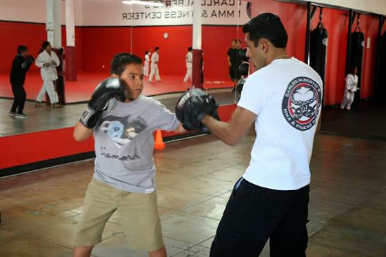 single listing image