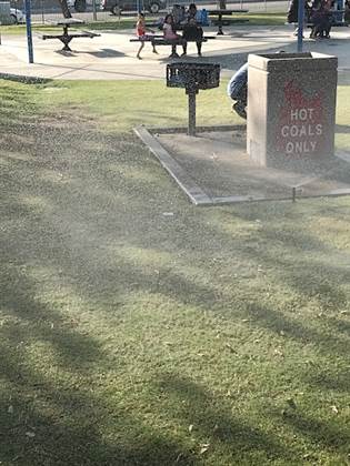 single listing image