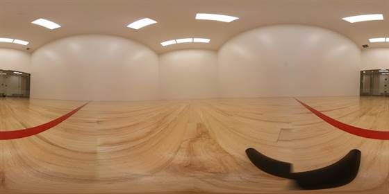 single listing image