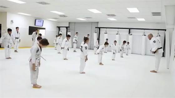 single listing image