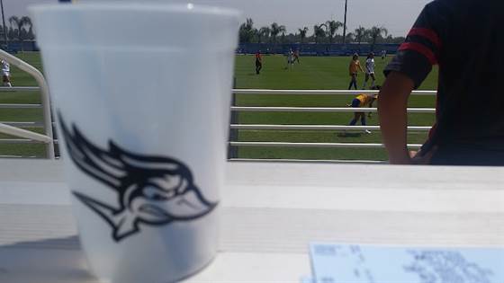 single listing image