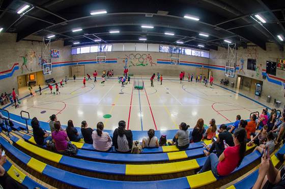 single listing image