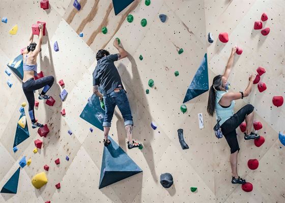 Rock Haven Climbing Gym