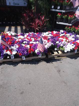 single listing image