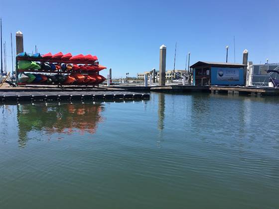 510-Waterline | Stand Up Paddle Board