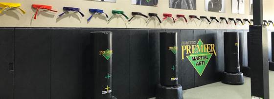 Premier Martial Arts Pearland