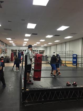 single listing image