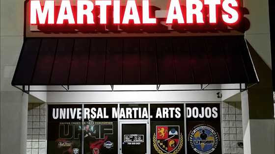 UMAD - Universal Martial Arts Dojos