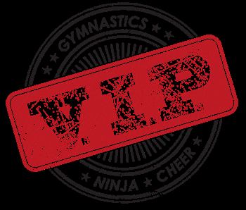 V.I.P. Gymnastics, Ninja, and Cheer