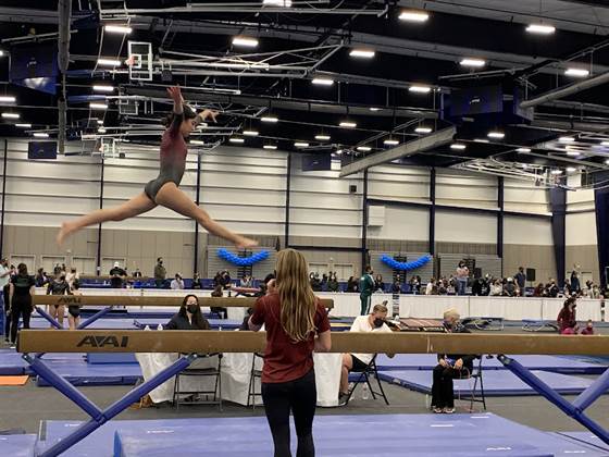 single listing image