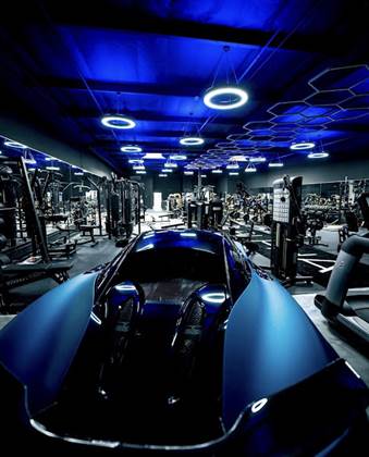 Live Alpha Personal Training