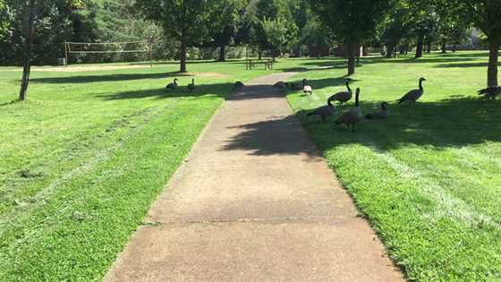 Ann Morrison Park Outdoor Gym