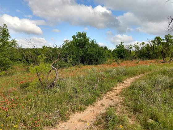 Buck Creek Mountain Bike Trail