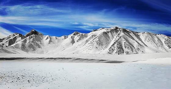 single listing image