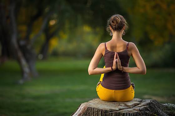 The Little Yoga Studio