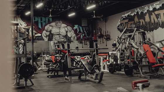 Butler Pro Gym