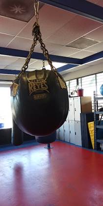 single listing image