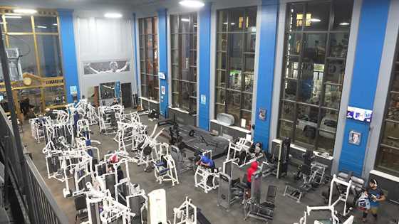 The Pro's Gym