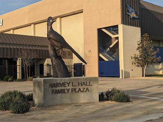 single listing image