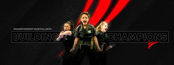 Championship Martial Arts - Racine