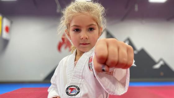 Everest Taekwondo Troy | Martial Arts & Fitness Center