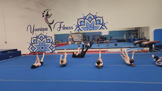 Younique Fitness LLC- (School of Gymnastics, Acrobatics & Family Fitness)