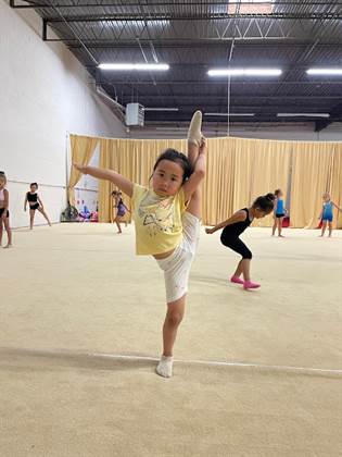 VVL Rhythmic Academy