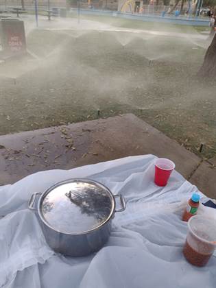 single listing image