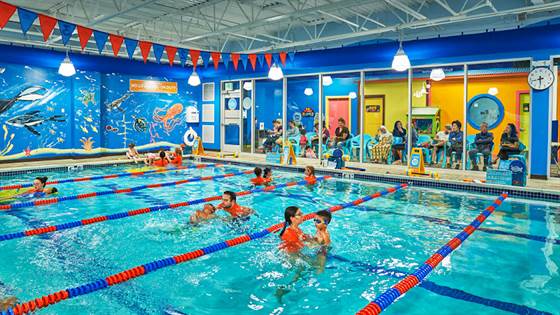 Goldfish Swim School - North Canton