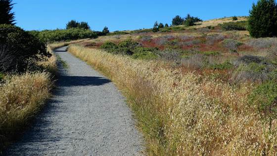 single listing image