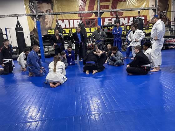 single listing image