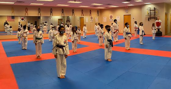 American Taekwondo Academy, LLC