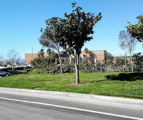 single listing image